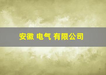 安徽 电气 有限公司